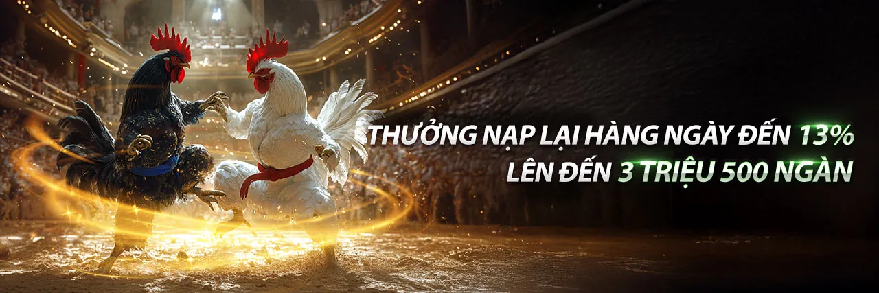 Đá Gà Trực Tuyến gh88 khuyến mãi